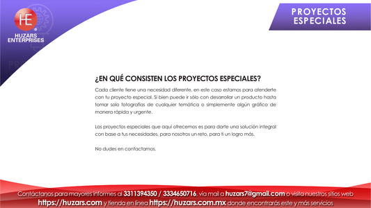 12. Servicios de Proyectos especiales