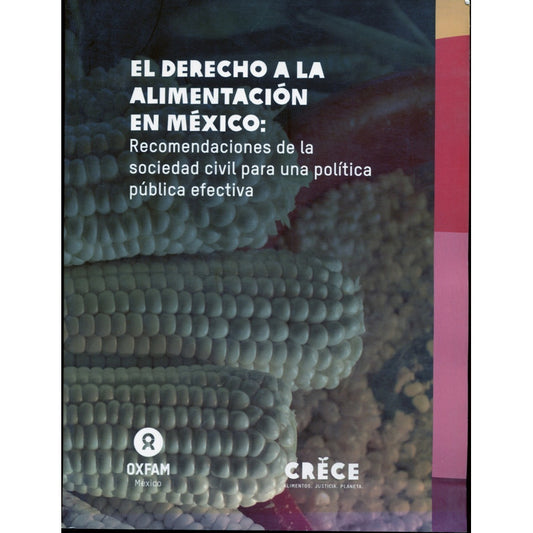 El Derecho A La Alimentacion En Mexico Recomendaciones De La