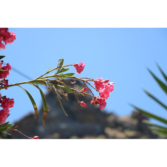 Nature-santorini-greece Fotografia