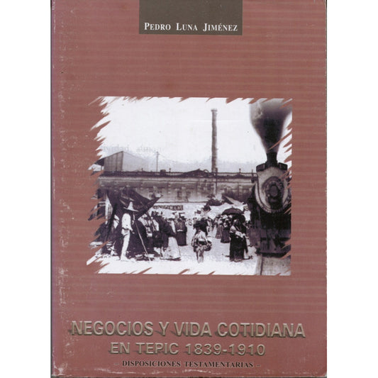 Negocios Y Vida Cotidiana En Tepic 1839-1910 Isposiciones Te