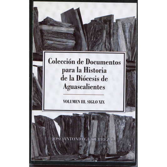 Coleccion De Documentos Para La Historia De La Diocesis De A