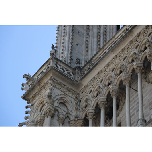 Notre-dame-paris-8