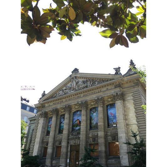 Museum-nantes-france Fotografia